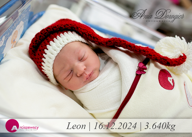 2024-12-16_Leon.jpg