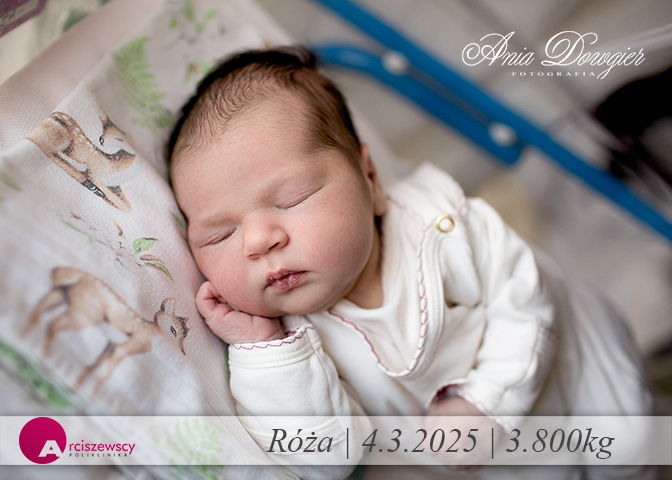 2025-03-04_Roza.jpg