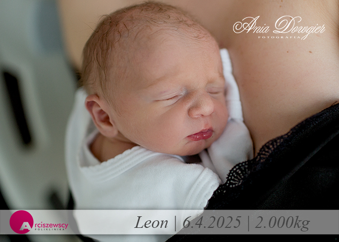 2025-04-06_leon.jpg