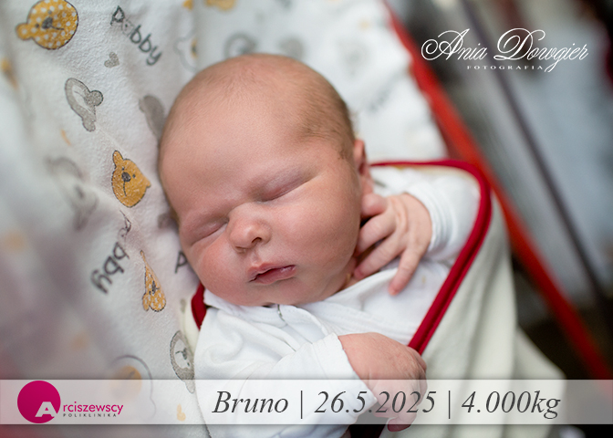 2025-05-26_Bruno.jpg