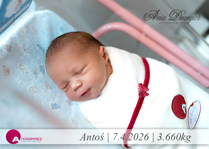 2026-04-07_Antos.jpg