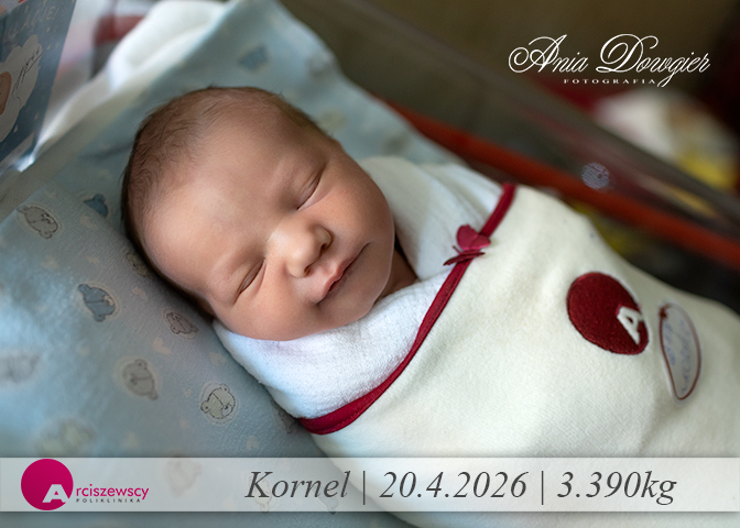 2026-04-20_Kornel.jpg